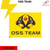 OSS TEAM 